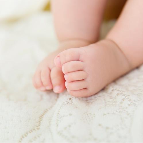 橙子有只约克夏