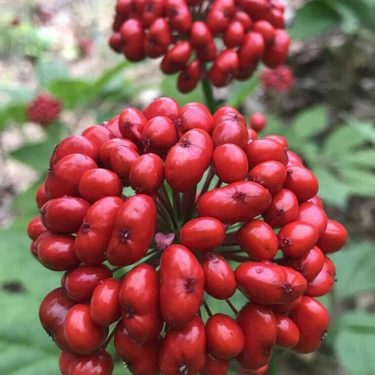 有得必有失