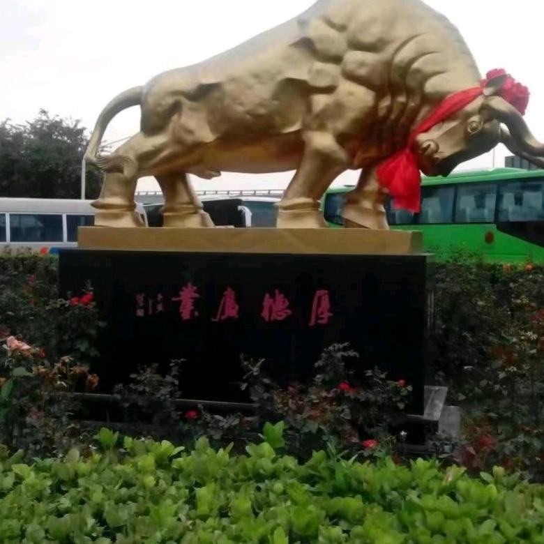 8号厚厨融合菜·溱都削筋面·炒鸡官方号