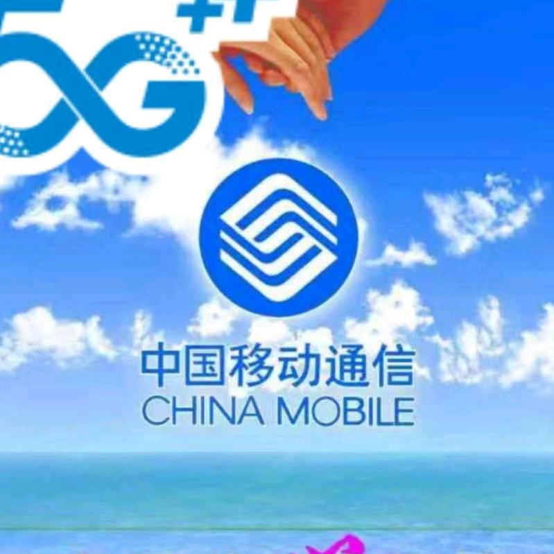 黄家大少爷