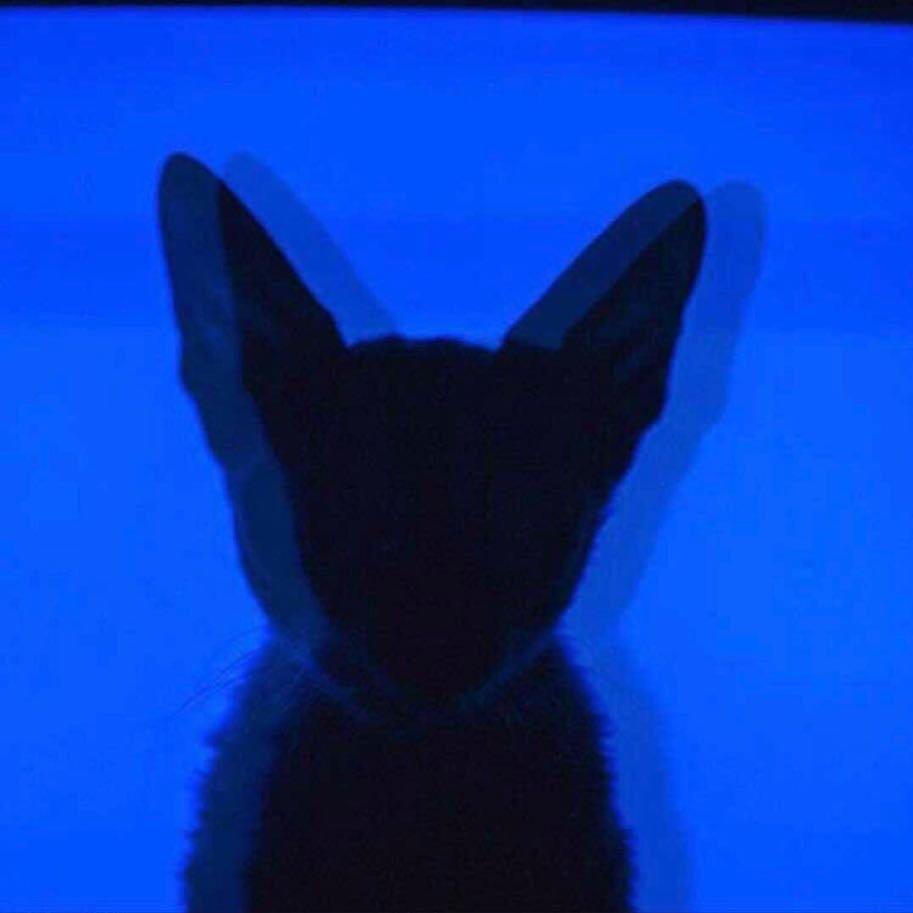 申申申申申逸然：）