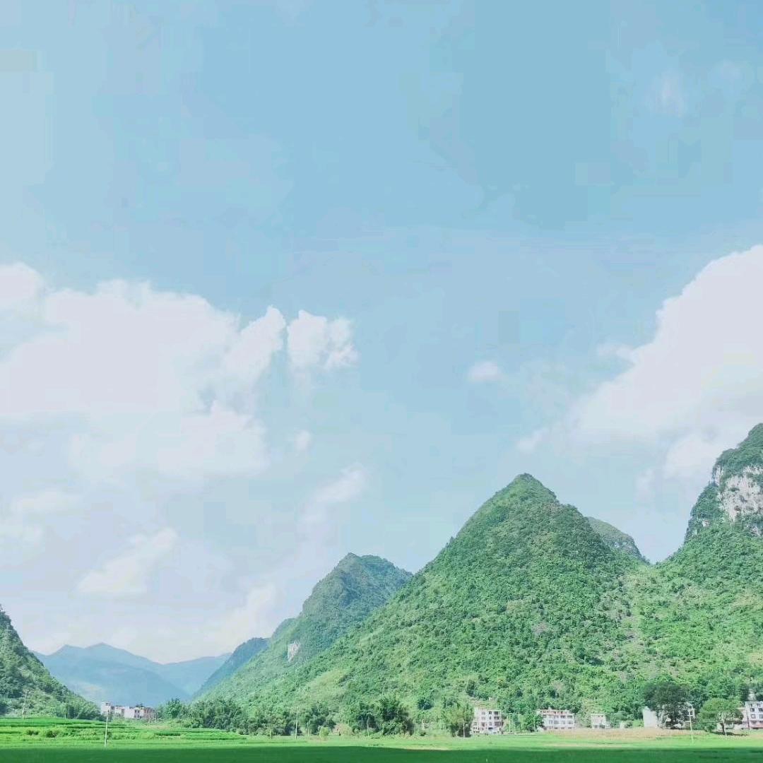 山   高    水   长