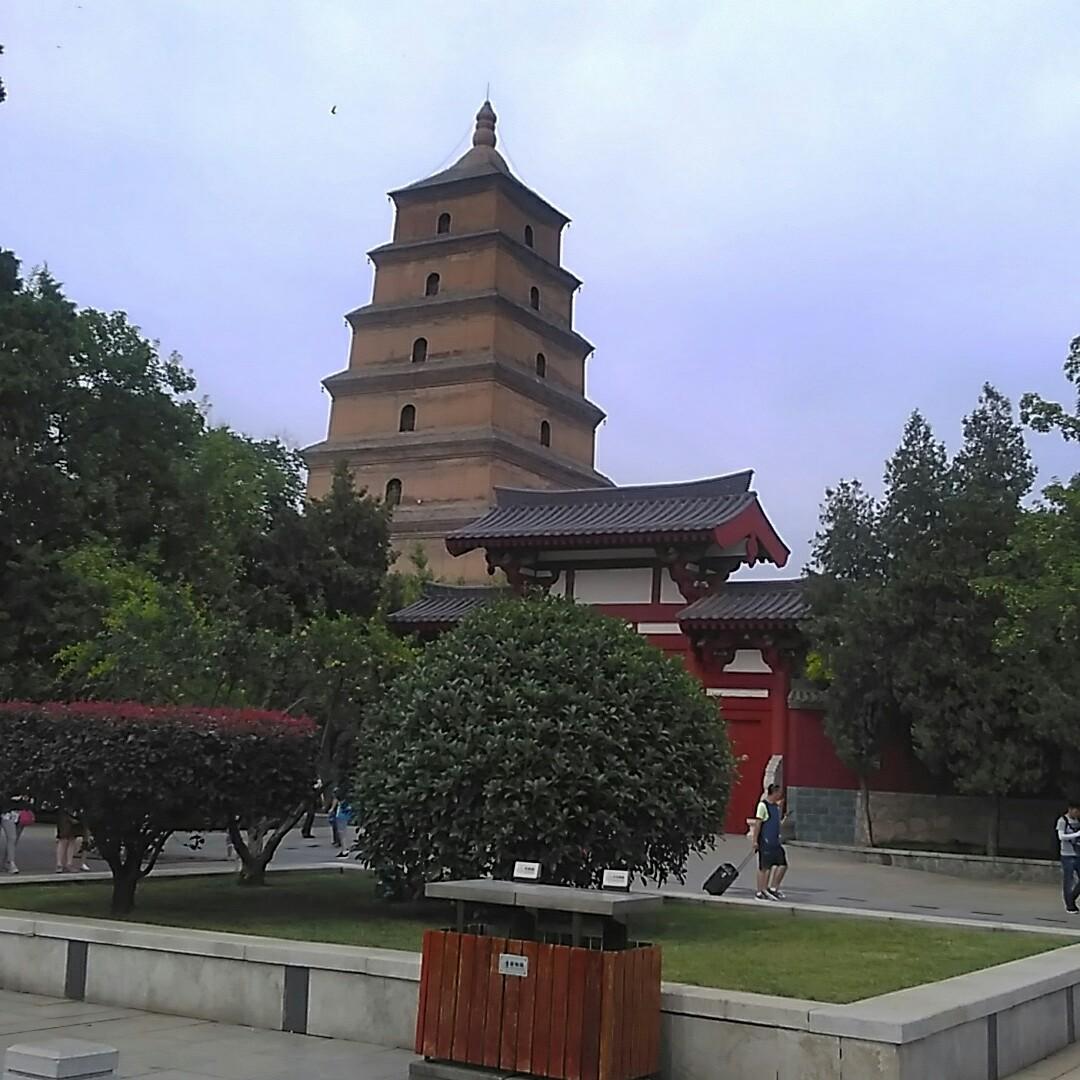 哦拉_