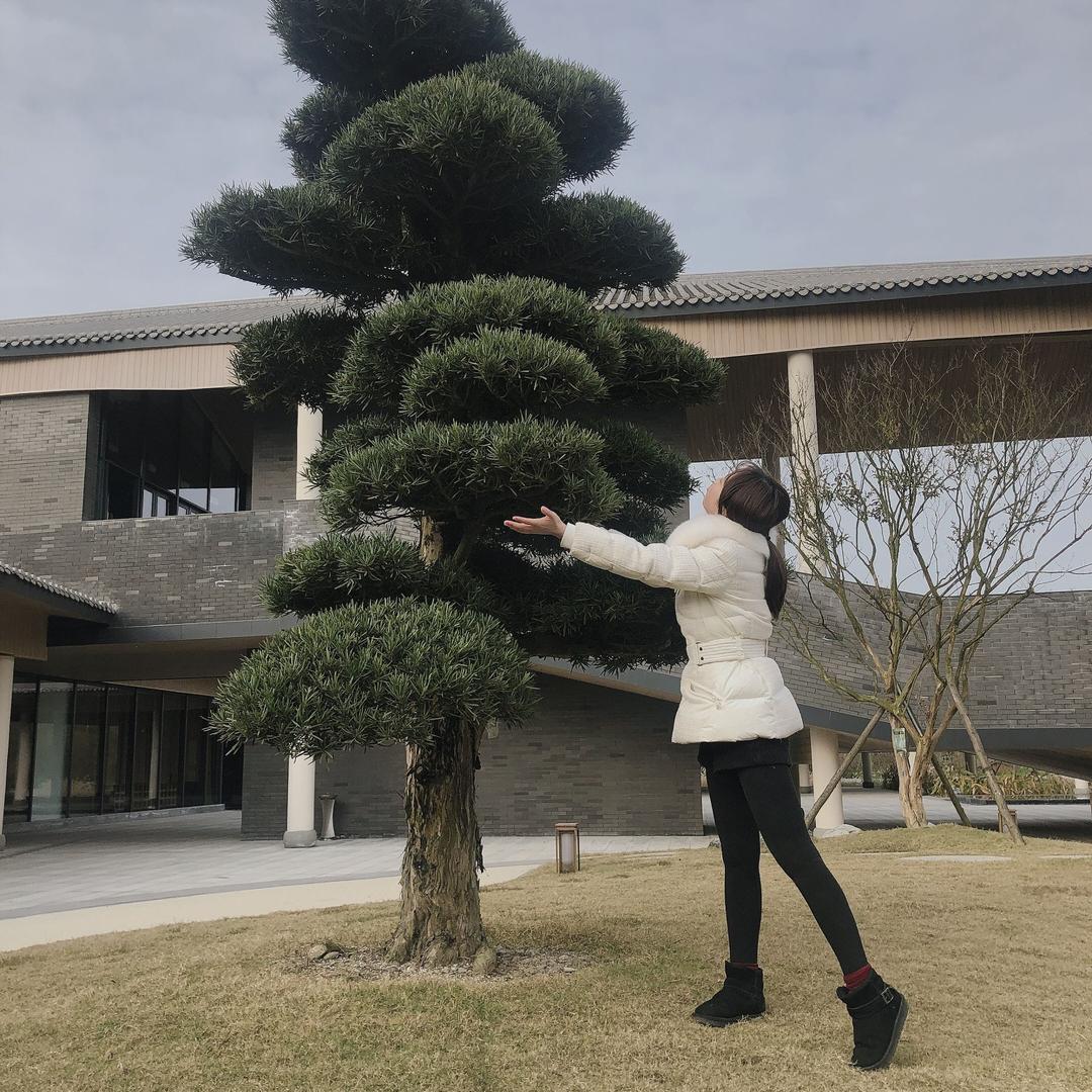 成都长运汽车驾驶培训有限责任公司