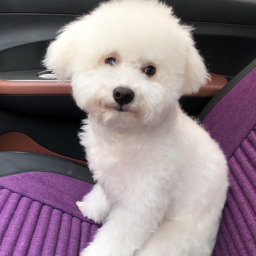 王昱瑾