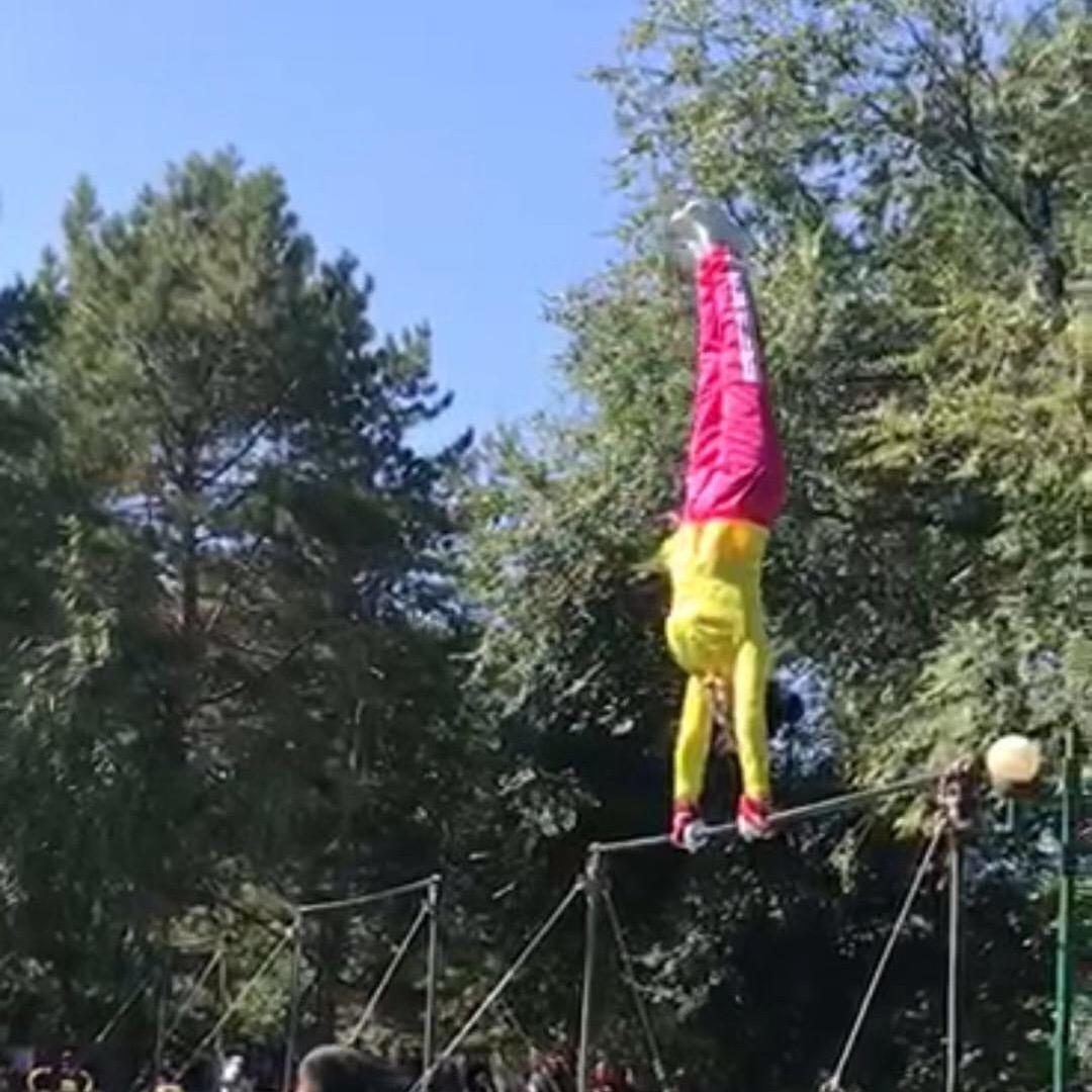 单杠阿敏