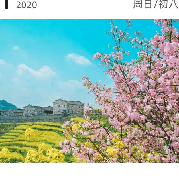 左图右书