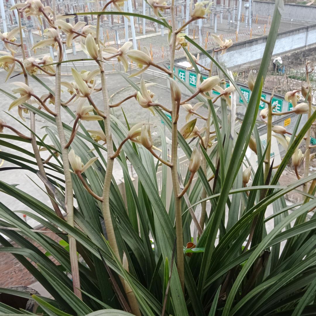 心随自然，不要连赞谢谢！拒私聊拒合拍