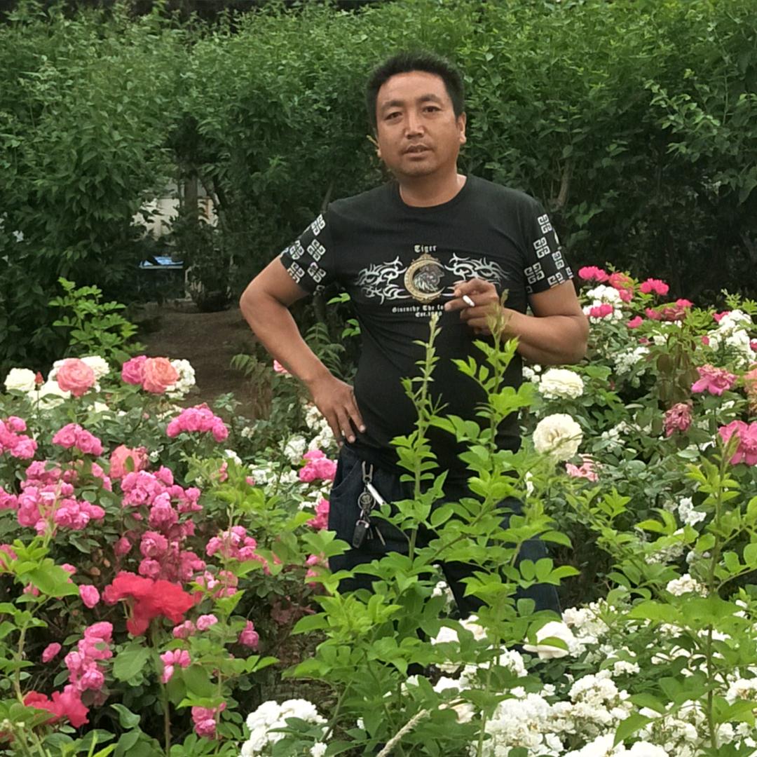 周西宽专业破桩队