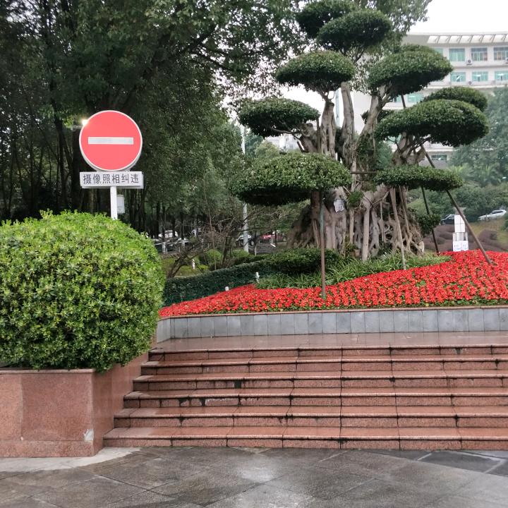 明天会更好