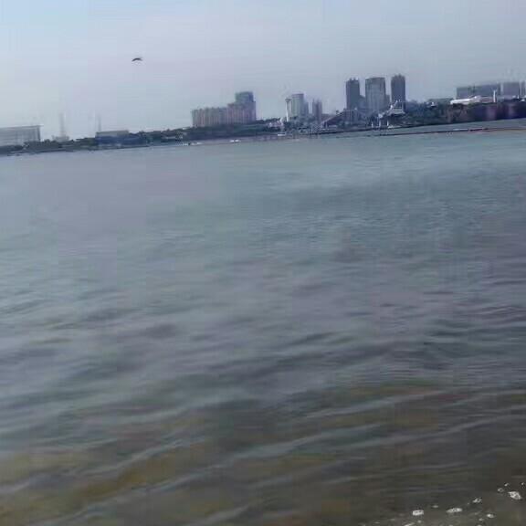 洵骁