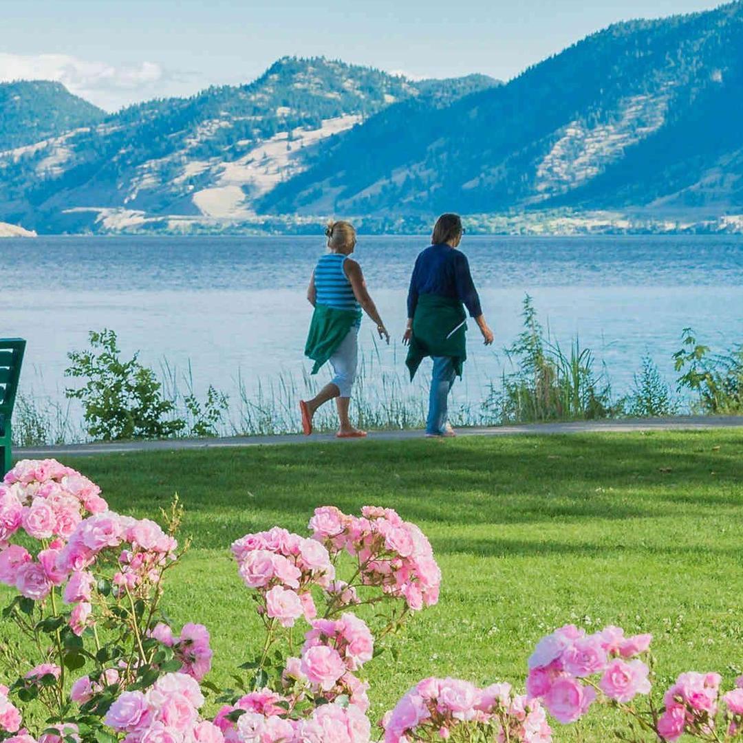 🌴无私的奉献🌴