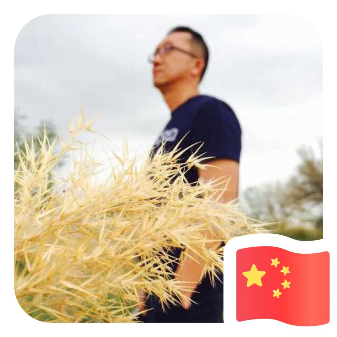 追忆无边