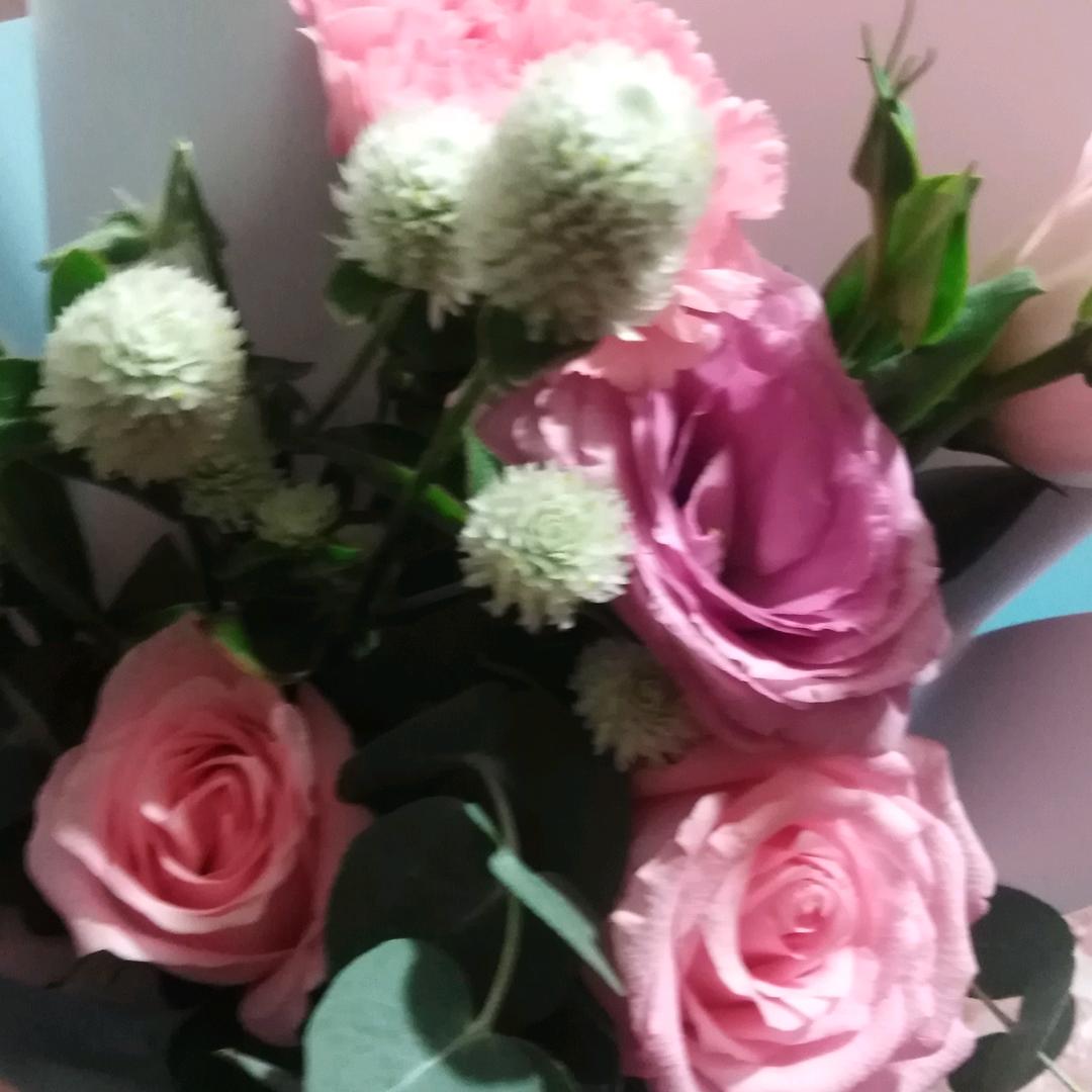静儿🌸