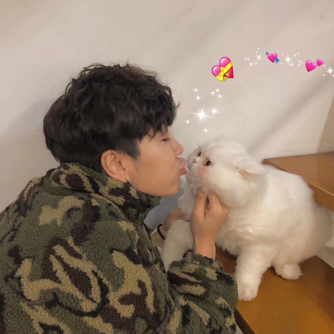 球球是只猫