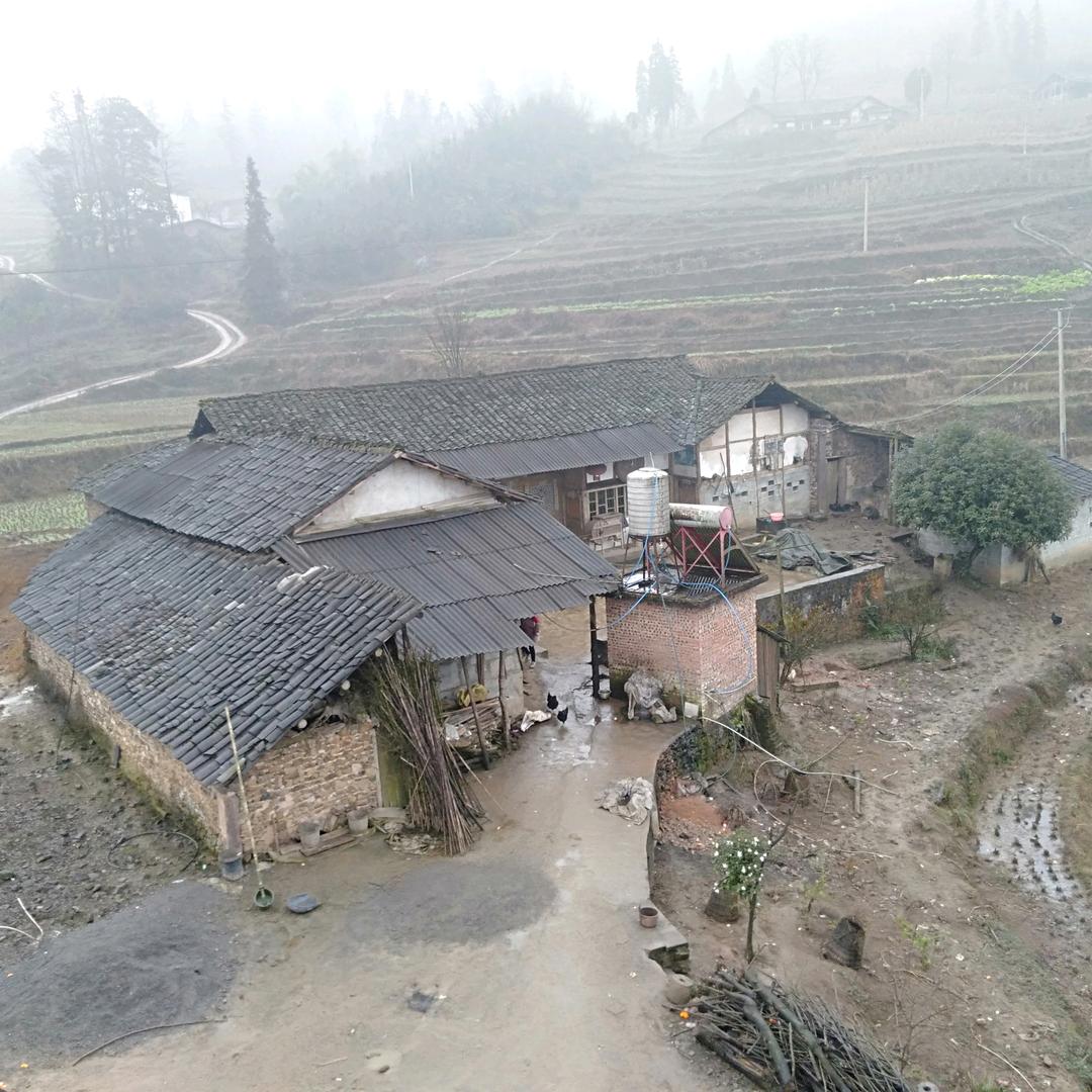 李师