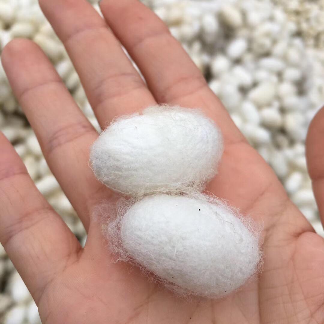 洲泉心意浓桑蚕丝被