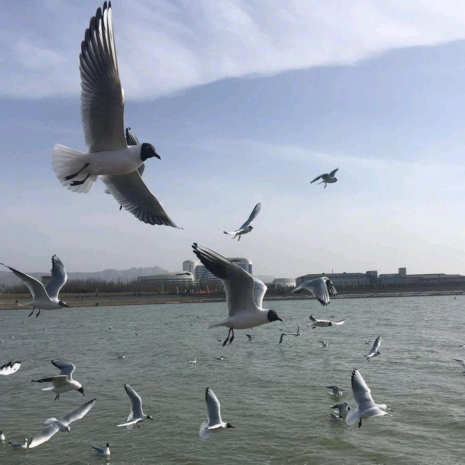 A 🌴海纳百川