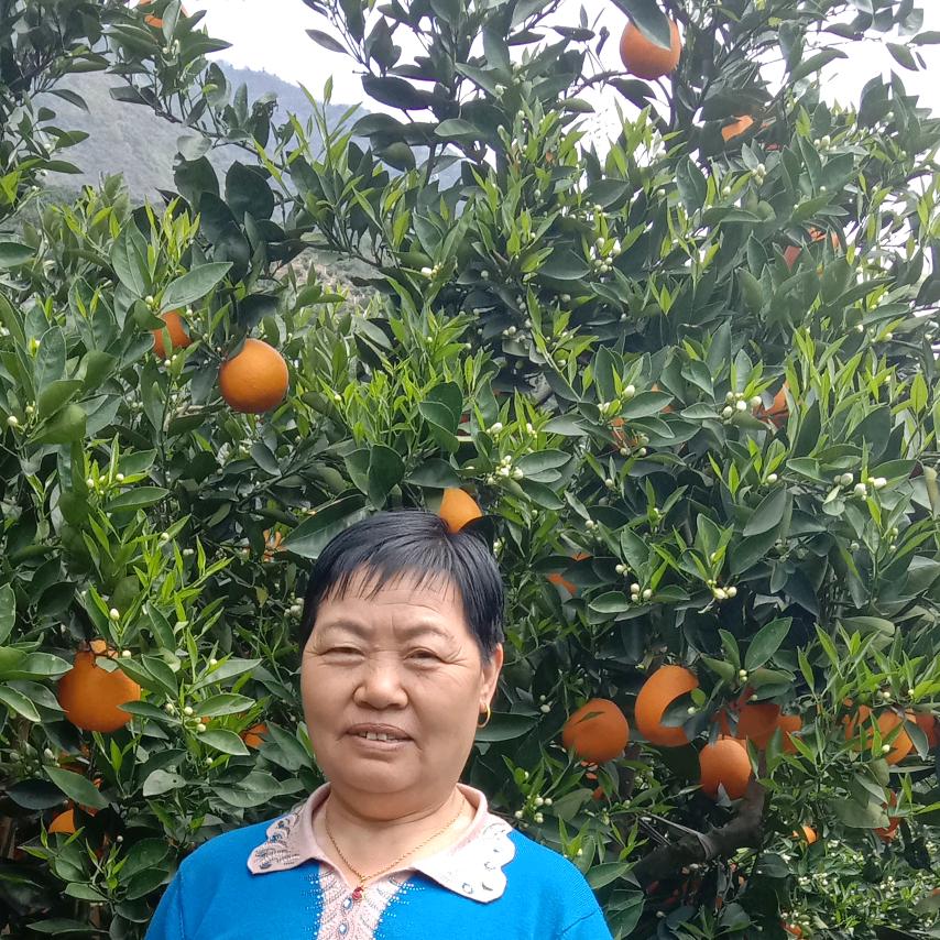 王学芝