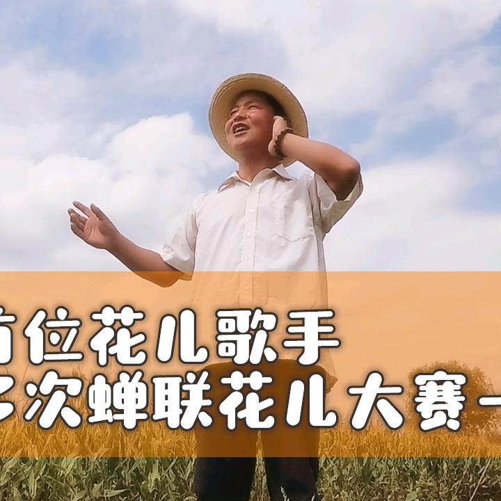 花儿歌手，优质音乐领域创作者