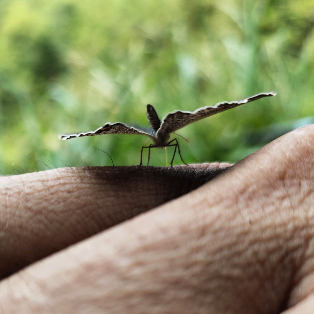南康区唐江镇佳尔格美门窗店