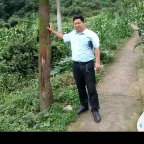 哈哈哥