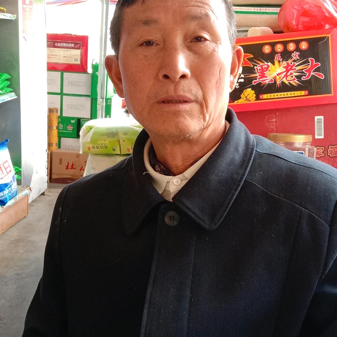 快乐老杨