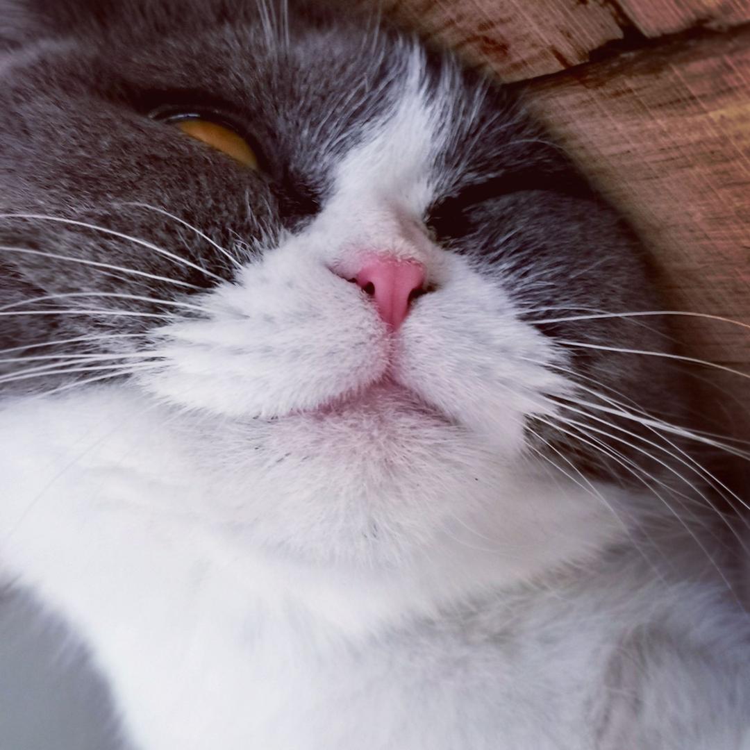 徐尤点