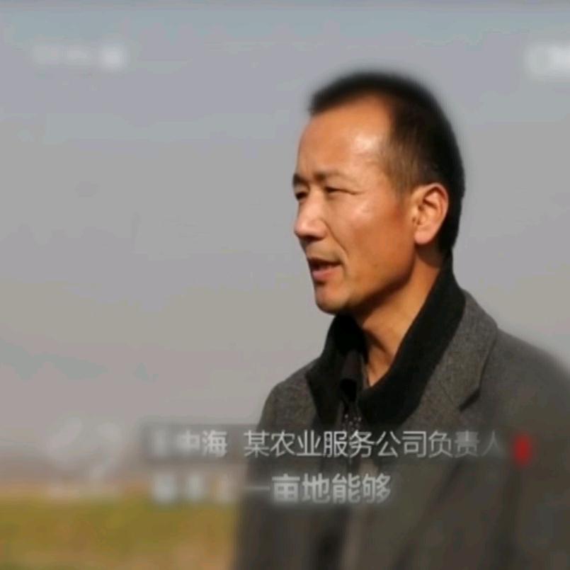 中海聊农业