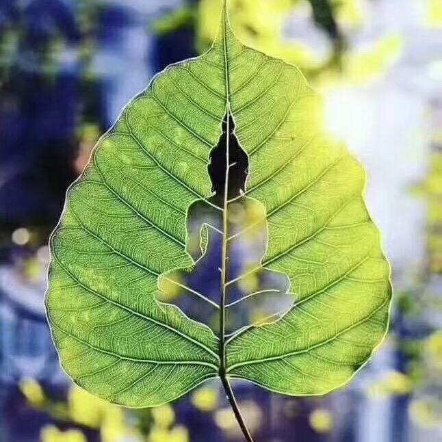 手艺人  小张🧗‍♂️🧗‍♀️