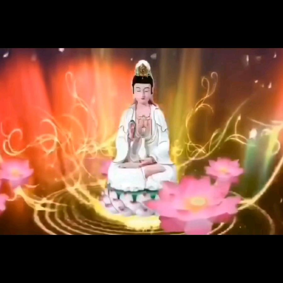 王小雅