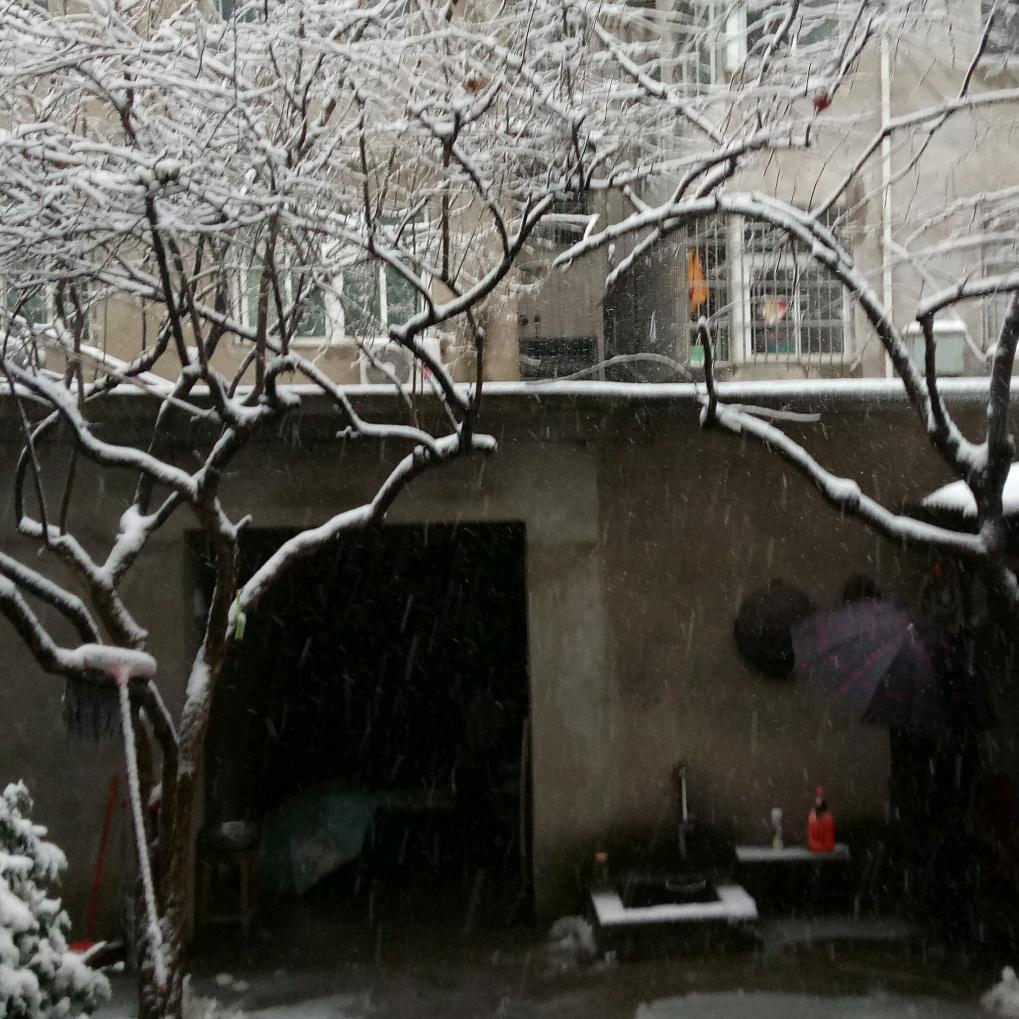 雪之萍