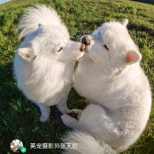 心想事成，万事如意