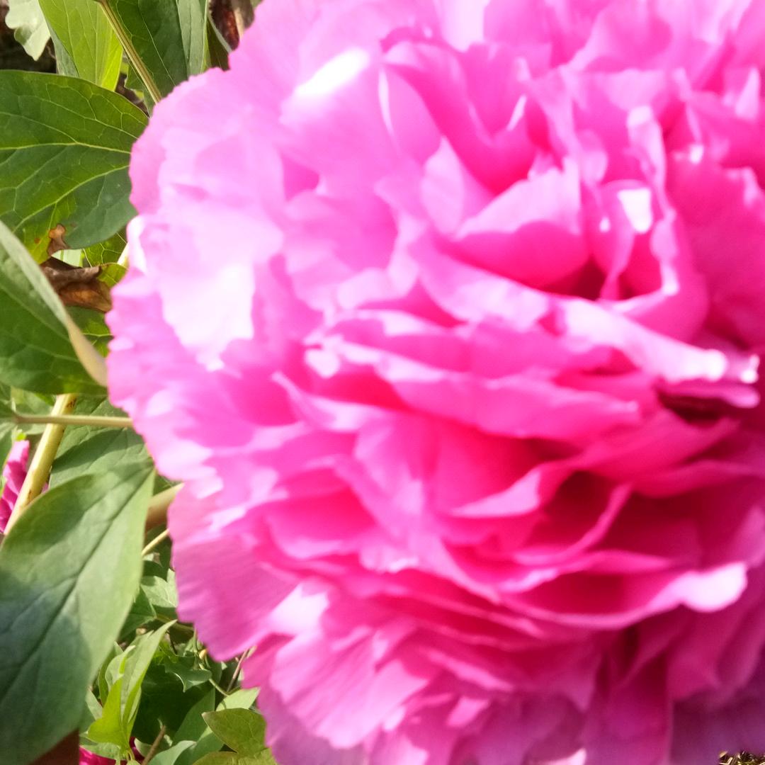 用户2143420243189虚心依新