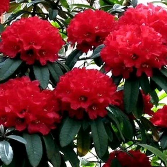 跪在坟前讨好鬼