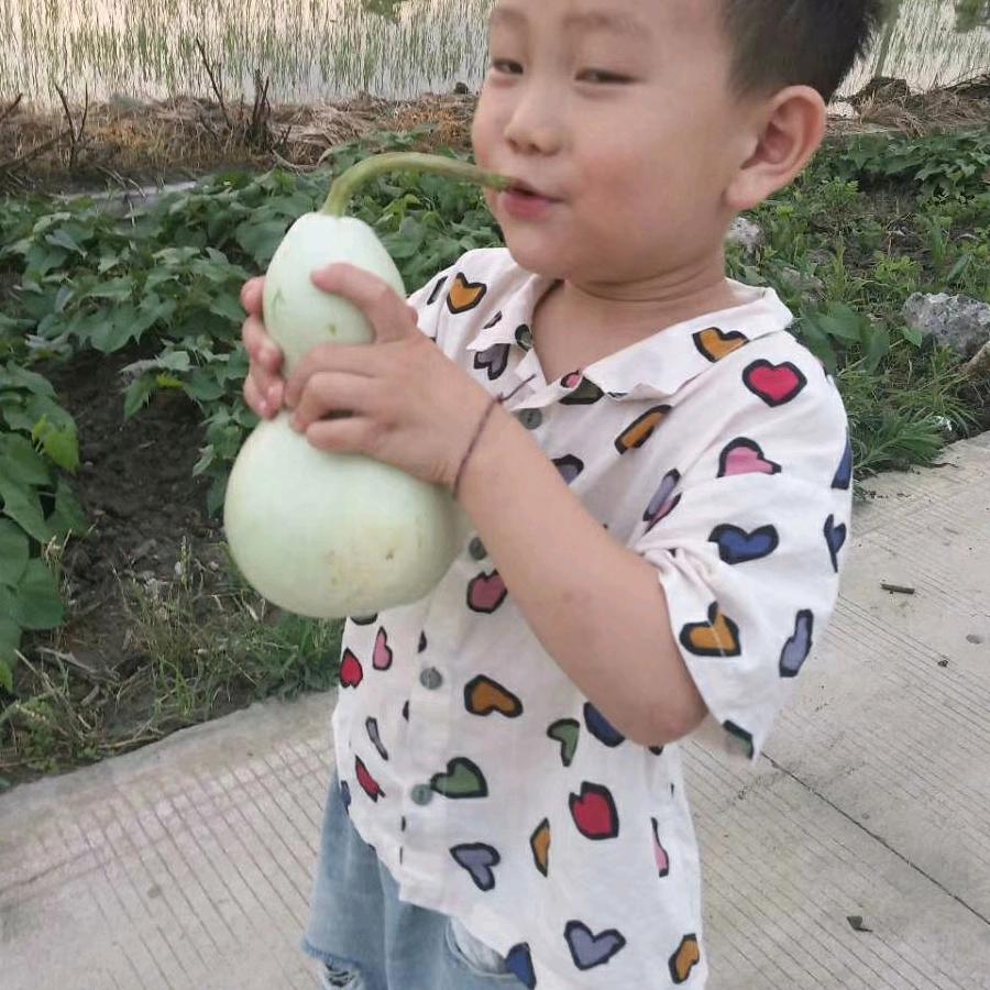 手机用户67375397278
