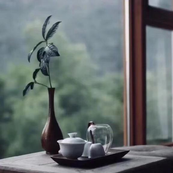 茶曼巴