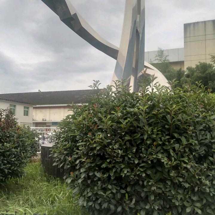 ღ᭄ꦿ 默এ⁵²º᭄এ