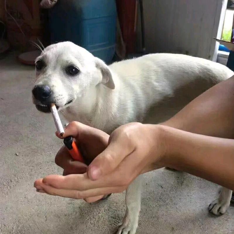 帅气的小伙子