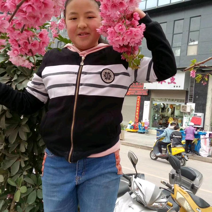 太阳和月亮