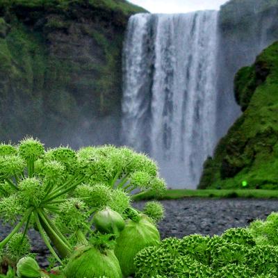 笑衬孤独《拒连赞》