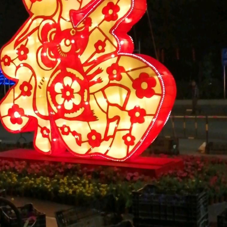 老表