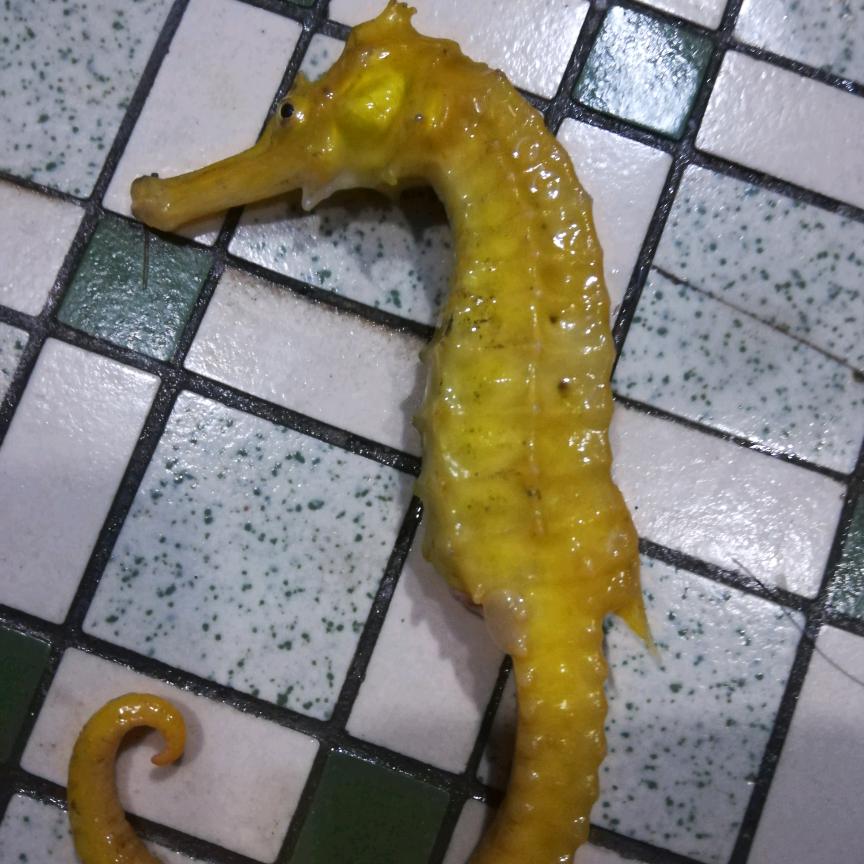 碧海蓝天