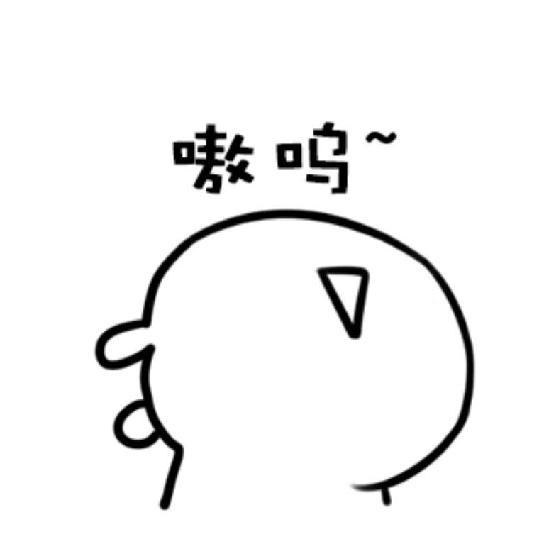 尚晟专柜专卖