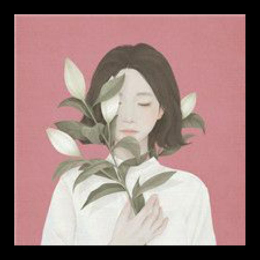 朵朵