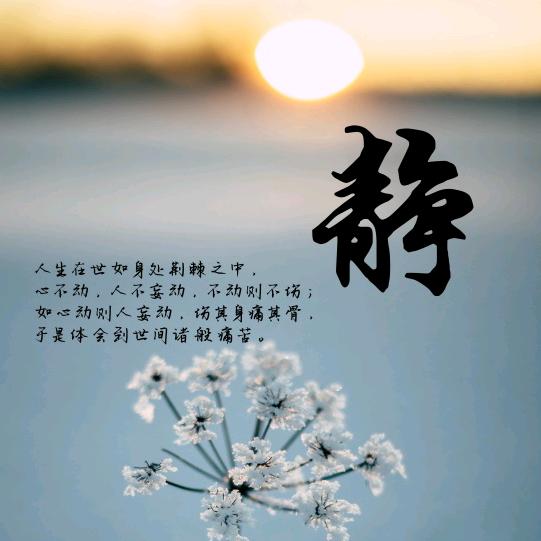 宁静致远