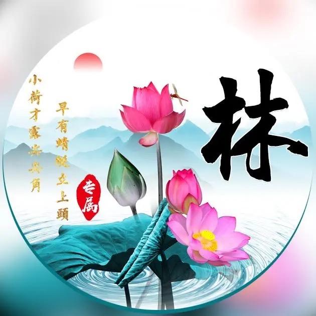 防水材料批发，兴雅正建材