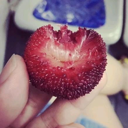 Yummy大杨梅