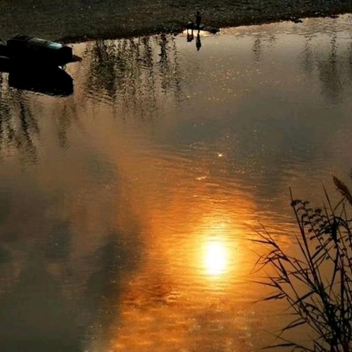 满山猴子我腚最红@