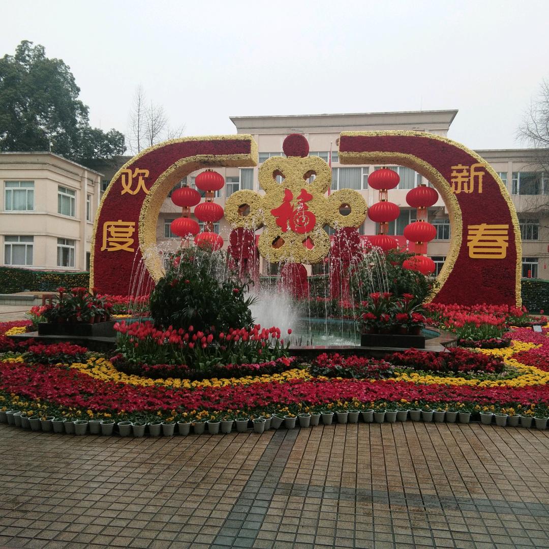 开开心心过每一天